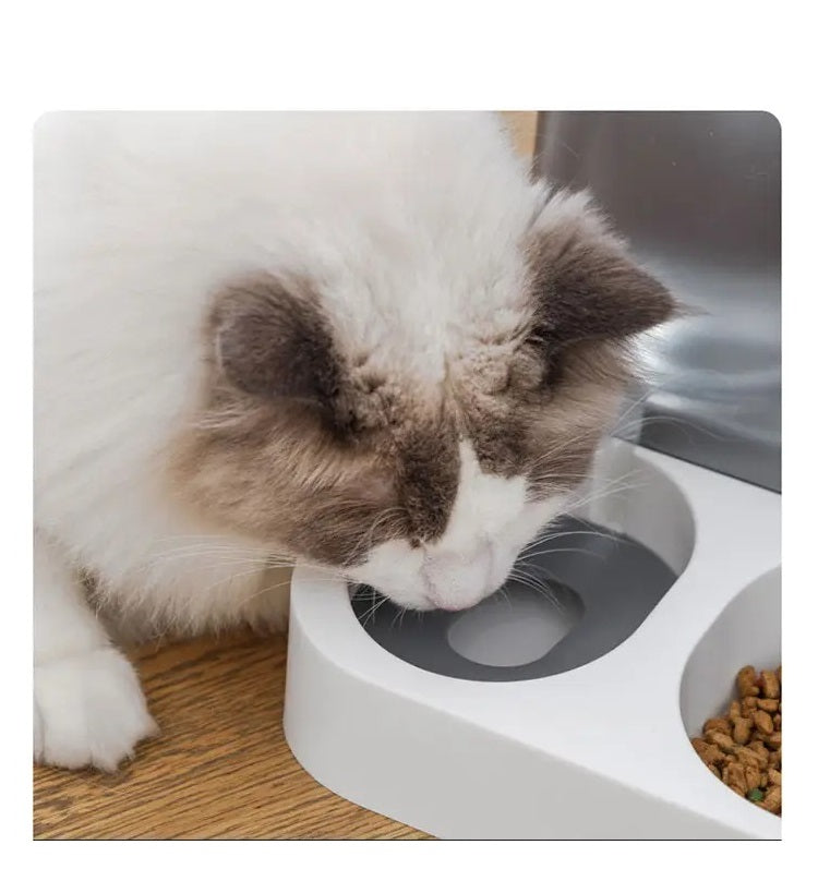 Pet Food and Water Dispenser