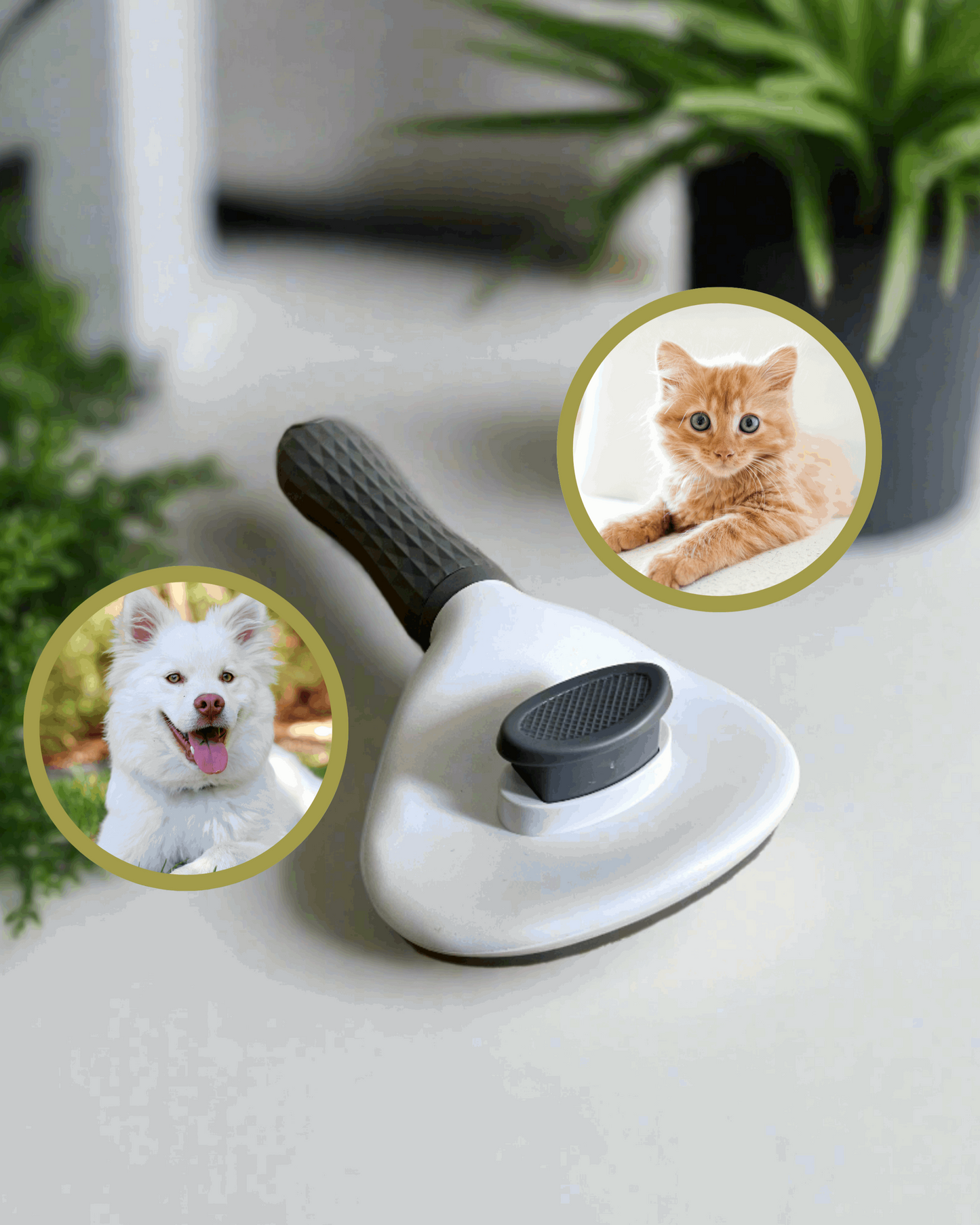 Self Cleaning Cat / Dog Brush