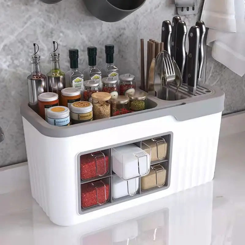 Spice and cutlery organizer