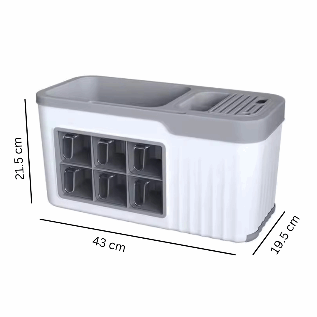 Spice and cutlery organizer