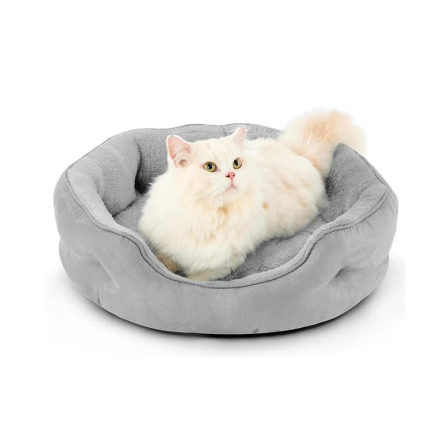Grey Cat Bed Qatar