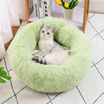 Green Cat Bed