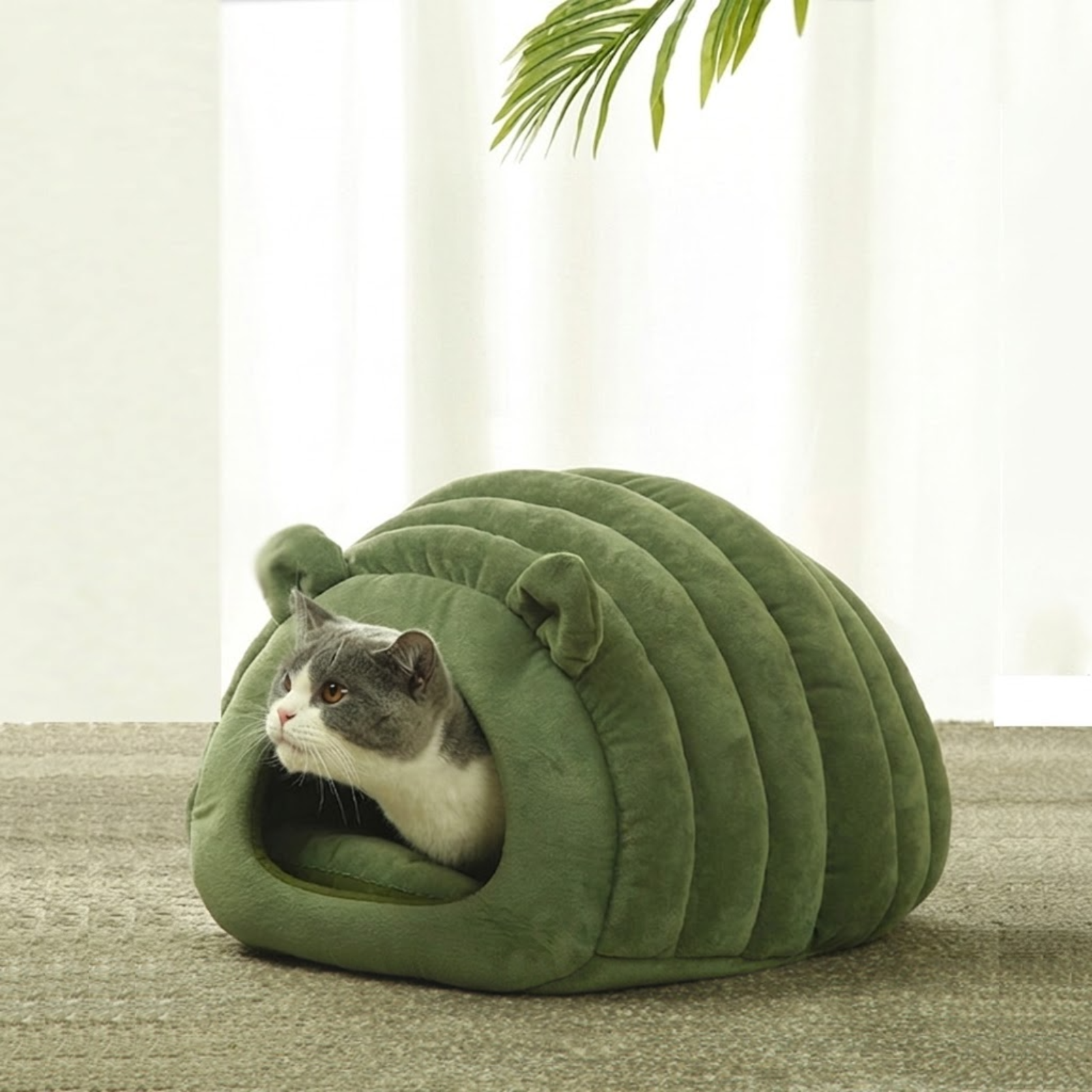 Green Cat Bed