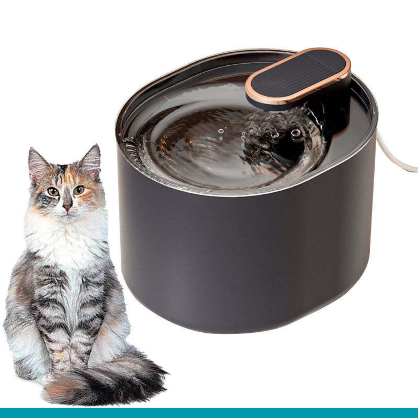 Cat Water Fountain  | 3 L Cat Hydration Fountain