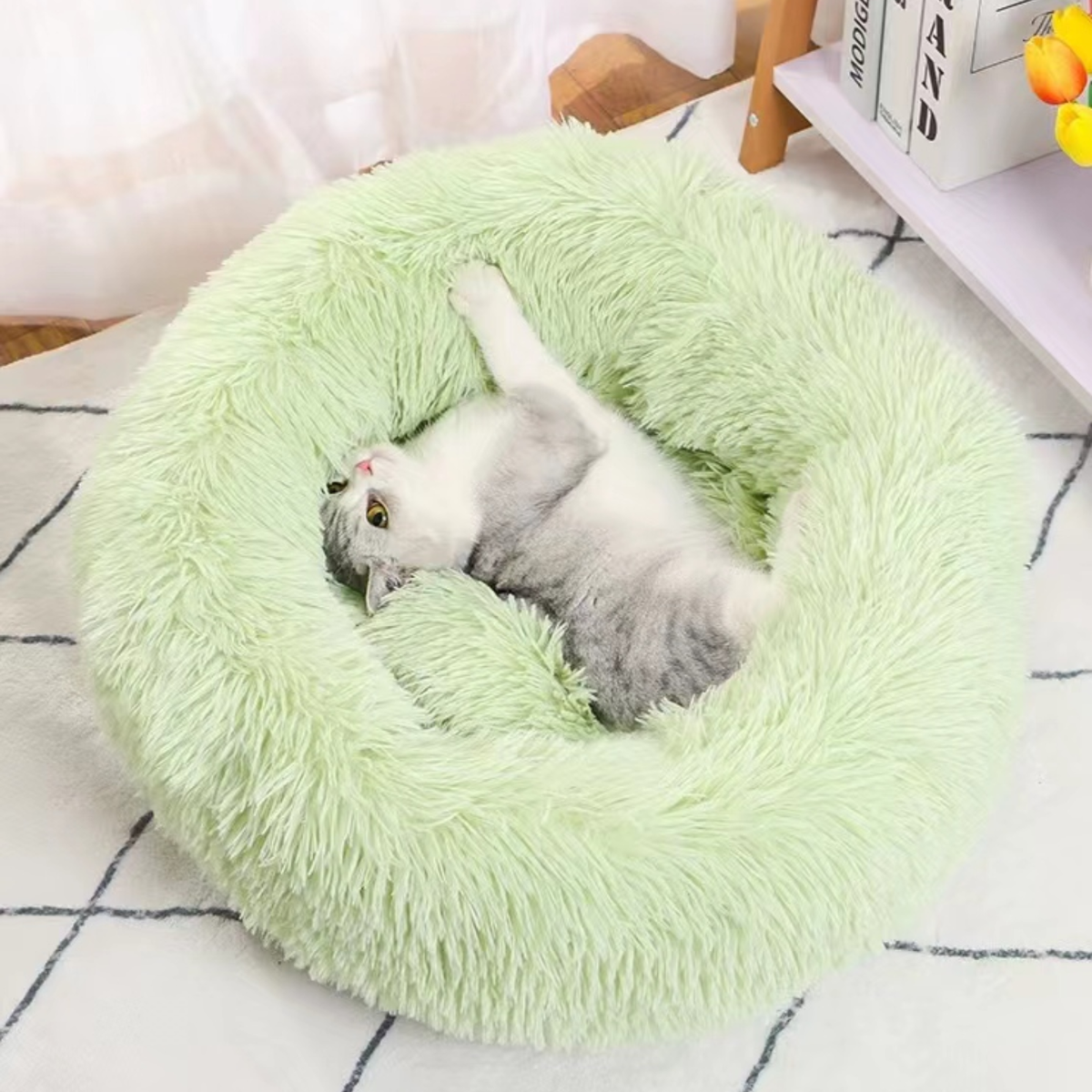 Green Cat Bed