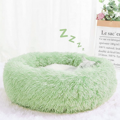 Green Cat Bed