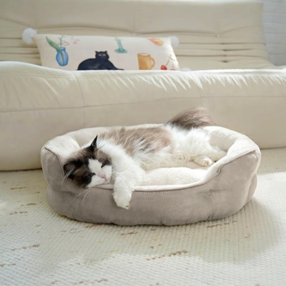 Brown Cat Bed Qatar