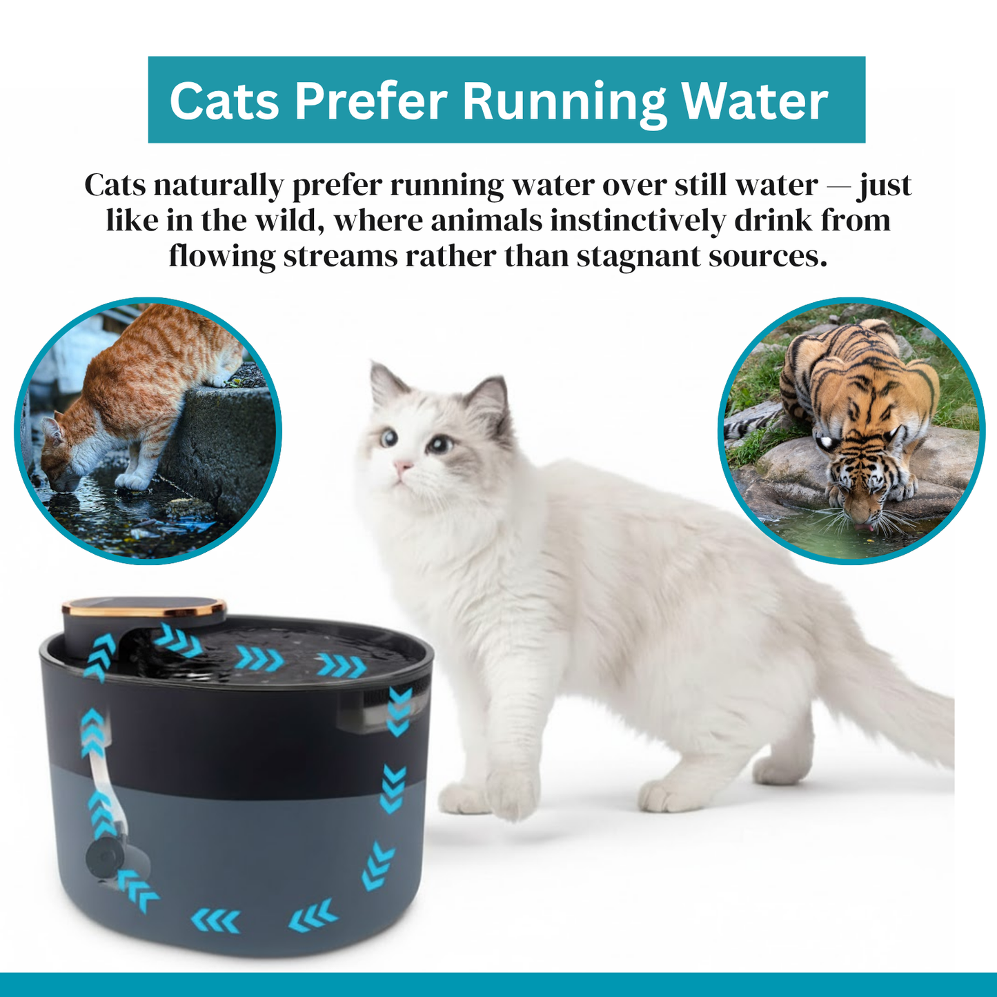 Cat Water Fountain  | 3 L Cat Hydration Fountain