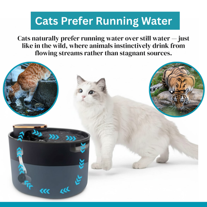 Cat Water Fountain  | 3 L Cat Hydration Fountain