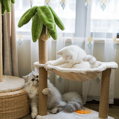Cat Palm Tree with Hammock | Cat Tree with Hammock