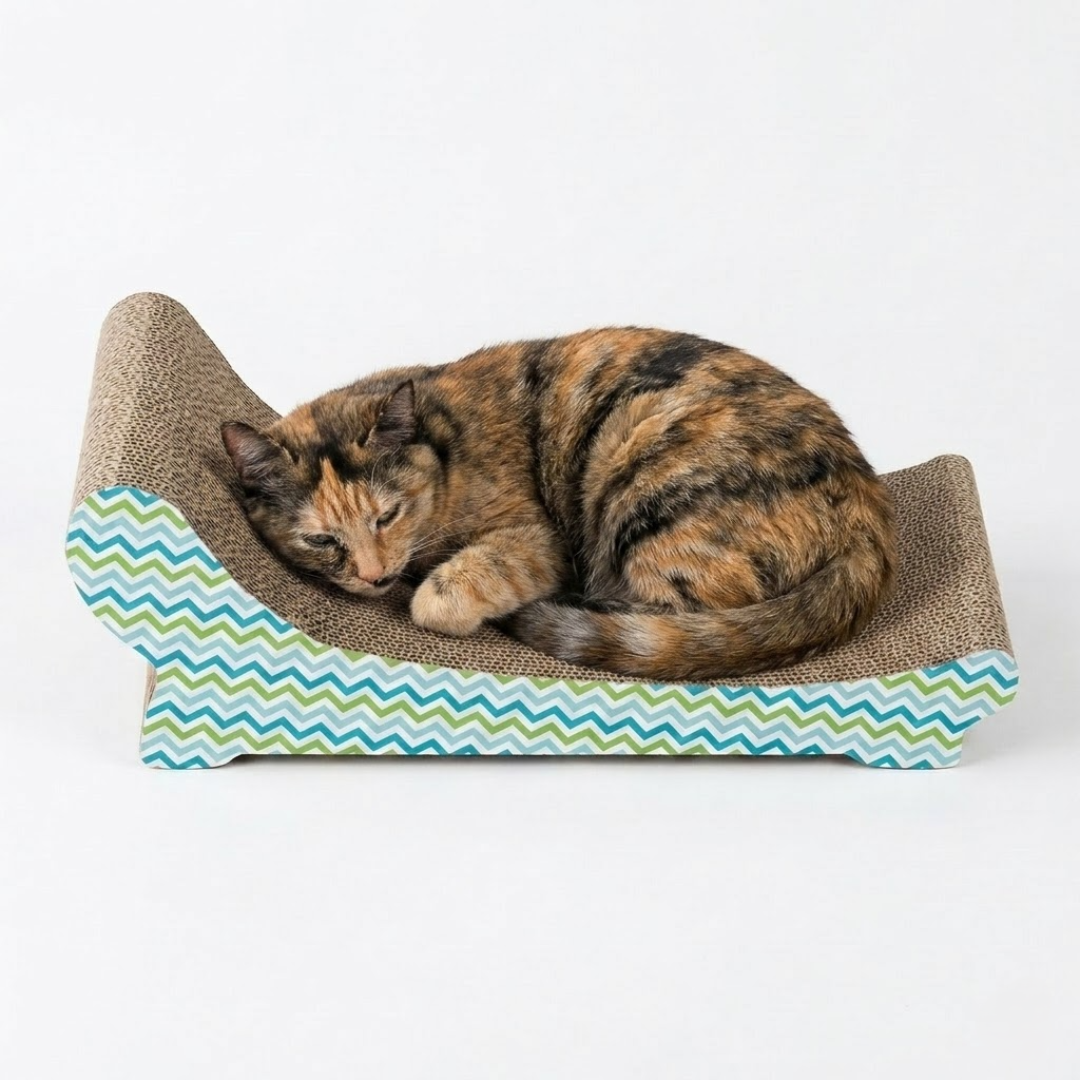 Cat Scratcher and Lounger | Cat Scratcher Bed