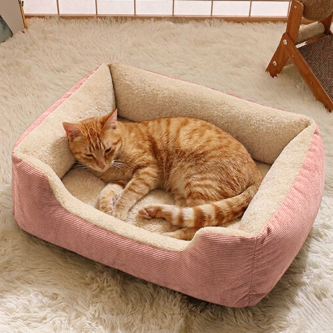Pink Cat Bed in Qatar