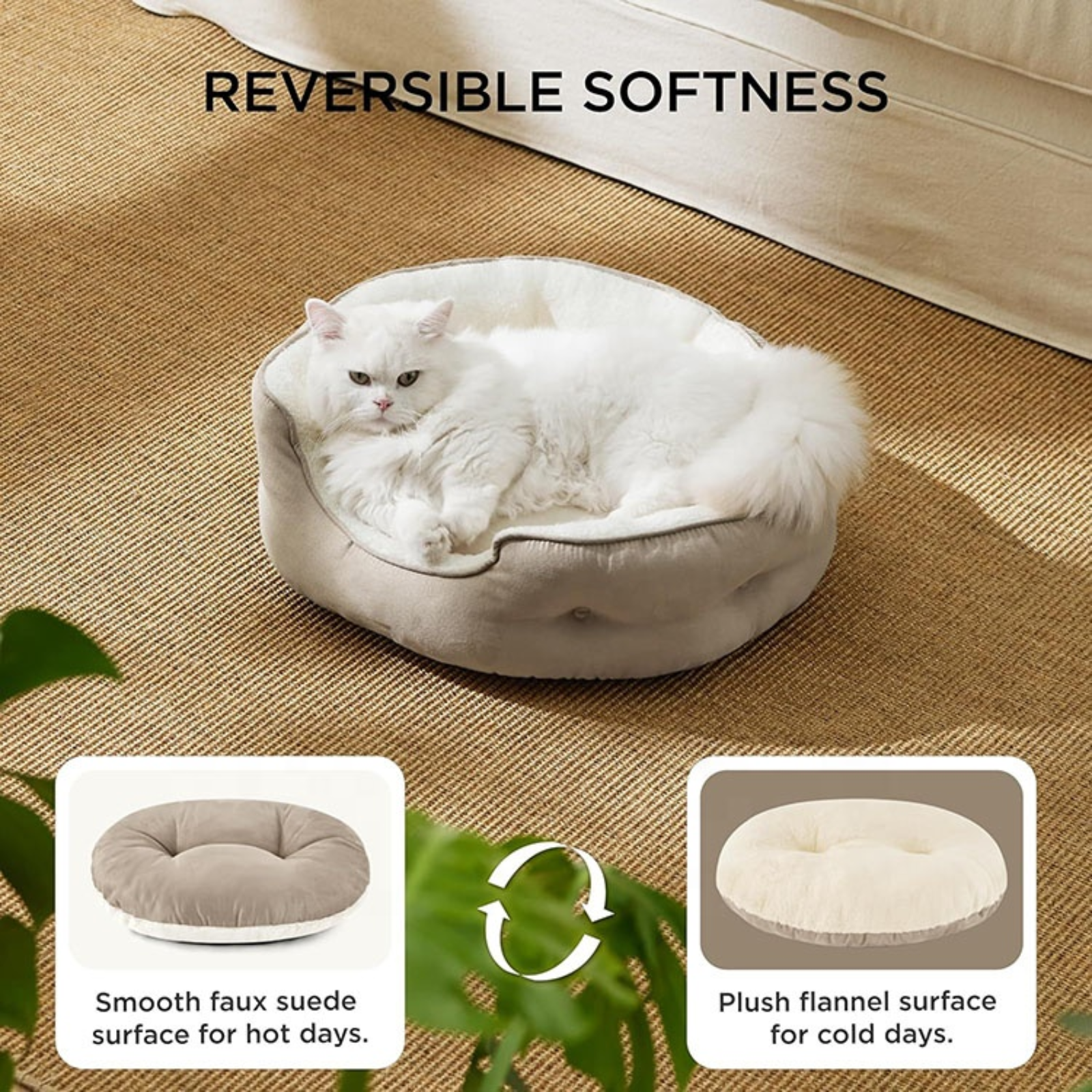 Brown Cat Bed Qatar