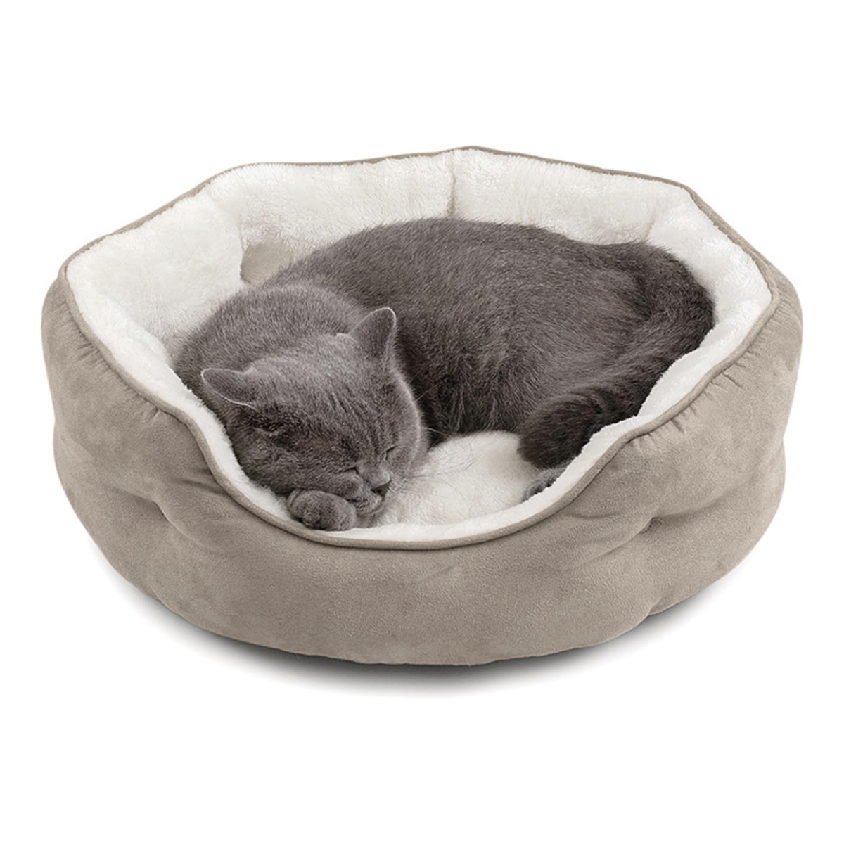 Brown Cat Bed Qatar