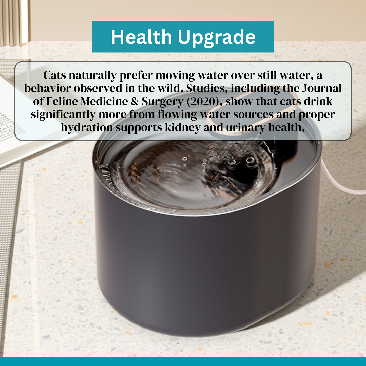 Cat Water Fountain  | 3 L Cat Hydration Fountain