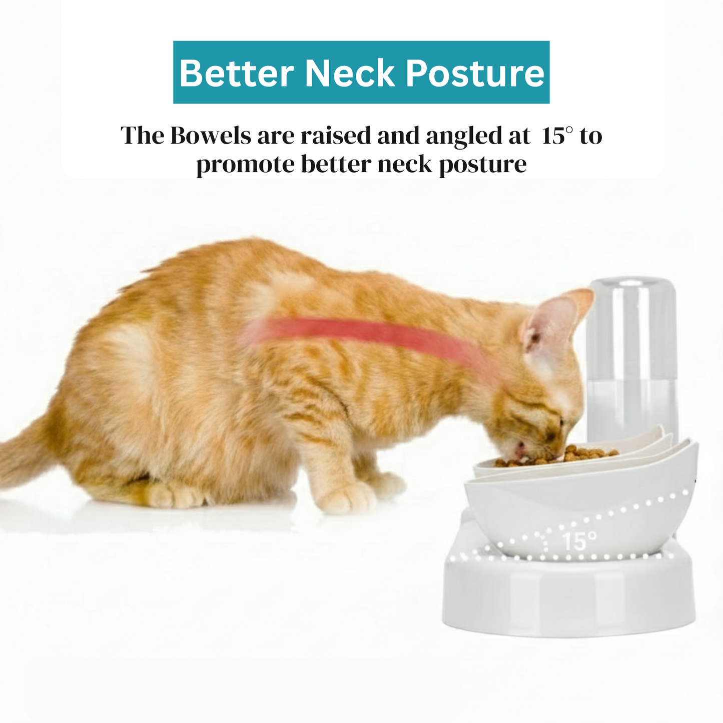 3-in-1 Raised Cat Feeder – Automatic Food &amp; Water Station