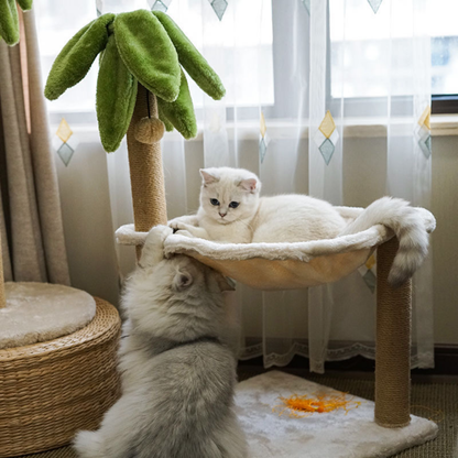 Cat Palm Tree with Hammock | Cat Tree with Hammock