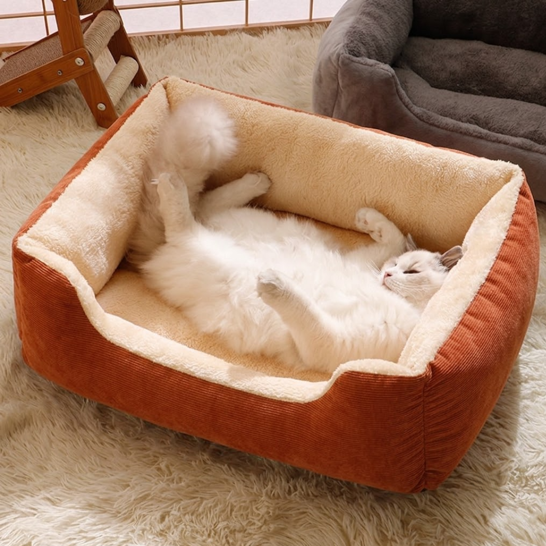 Orange Cat Bed in Qatar