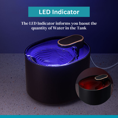 Cat Water Fountain  | 3 L Cat Hydration Fountain