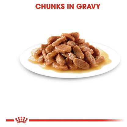 Royal Canin Kitten Wet Food | Gravy Box (12 pouches)
