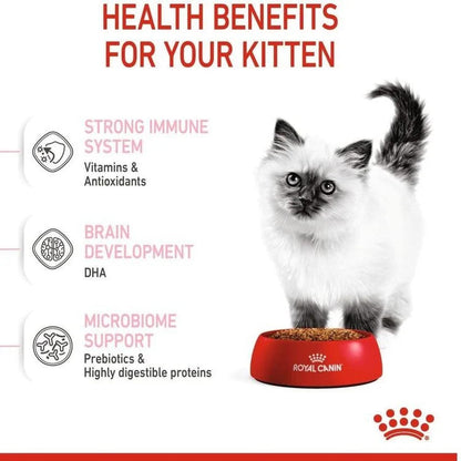 Royal Canin Kitten Food | Kitten Dry Food