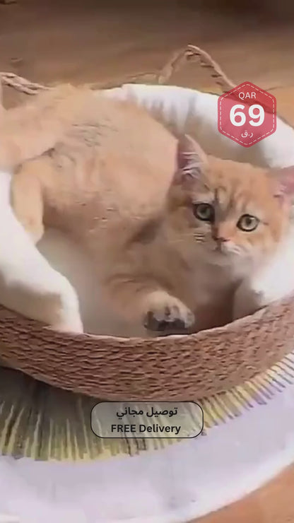 Cat Nest Bed | Woven Pet Bed