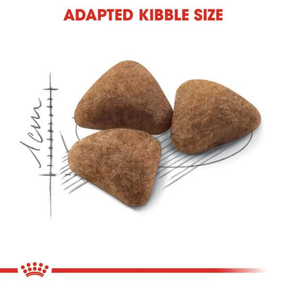 Royal Canin Indoor Cat Food | Indoor 27 Cat Food