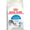 Royal Canin Indoor Cat Food | Indoor 27 Cat Food